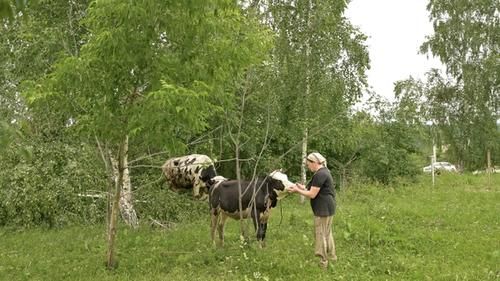 По Уралу прошел масштабный ураган. Один из наиболее пострадавших городов — Кушва Свердловской области