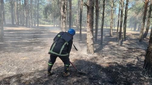 Тушение пожара в Балабановском лесу рядом с Николаевом