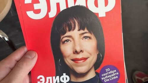 Листовки Die Linke