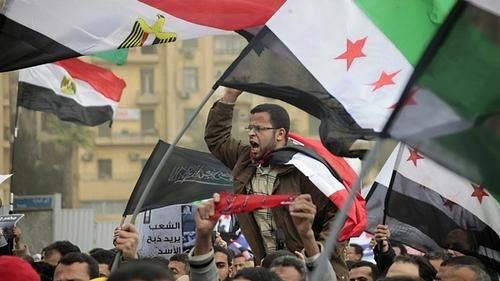 Протесты напротив посольства Сирии в Каире в феврале 2012 года