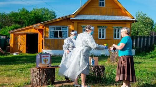 «Голосование на пеньках» во время кампании внесения поправок в Конституцию, 2020 год