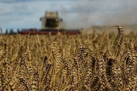 Изображение-Что такое «зерновая сделка», как Россия манипулирует ей во время войны и что будет, если из Украины перестанут вывозить зерно