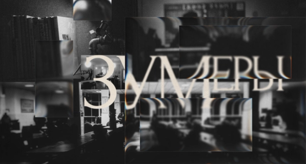 Изображение-«Зумеры не умеют в работу»