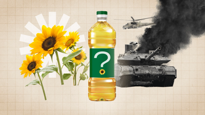 Изображение-Чем грозит экологическая катастрофа в Украине?