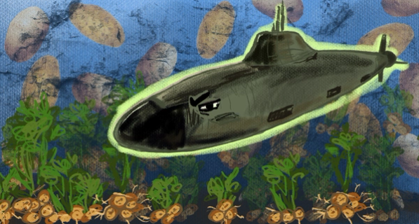 Изображение-«Эхолокаторы для подводных лодок никого не убьют»